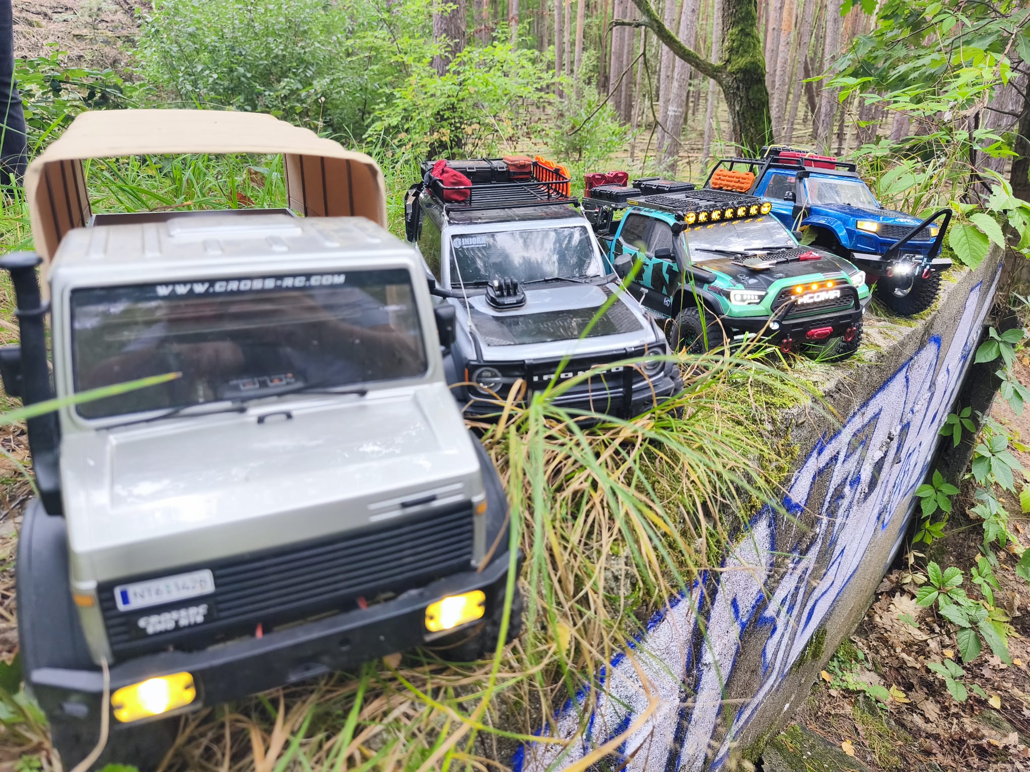 RC Mod and Race Börnicke e.V. - RC Crawler im Wald